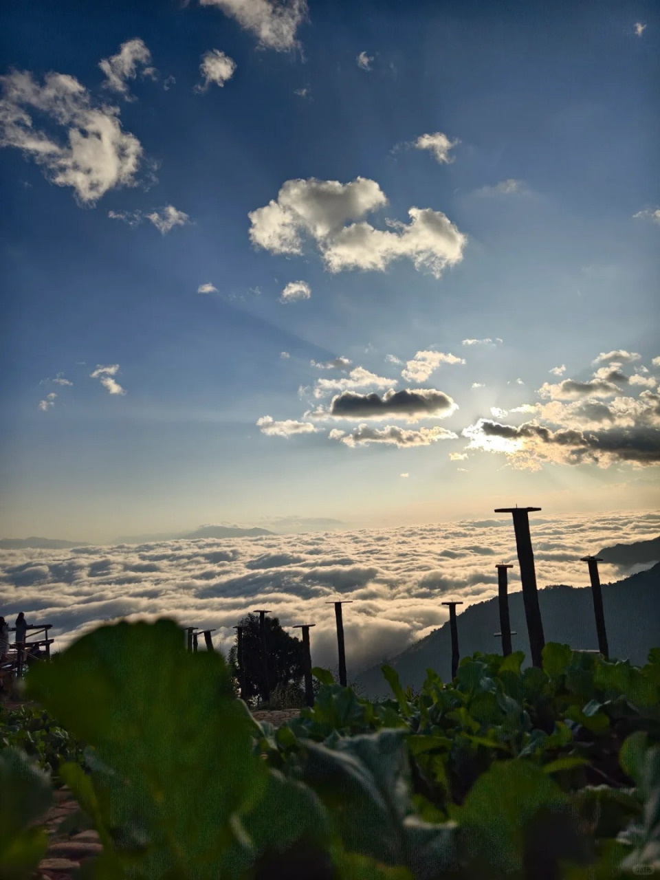 经过多次日出之约的失约,我终于在玉溪哀牢山云海日出观景台上见证
