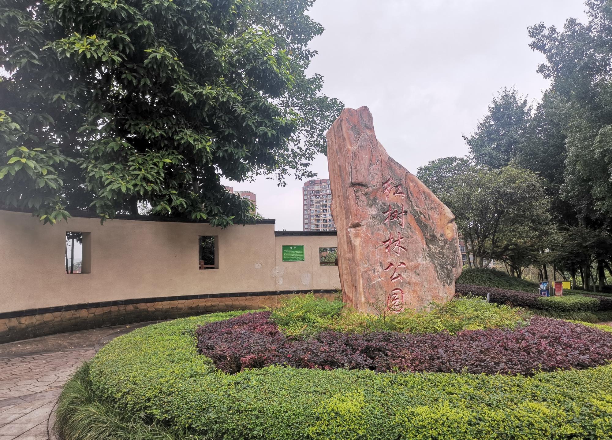 重庆渝北土豪公园,城市中心栽种大量树木,就是少点文化底蕴