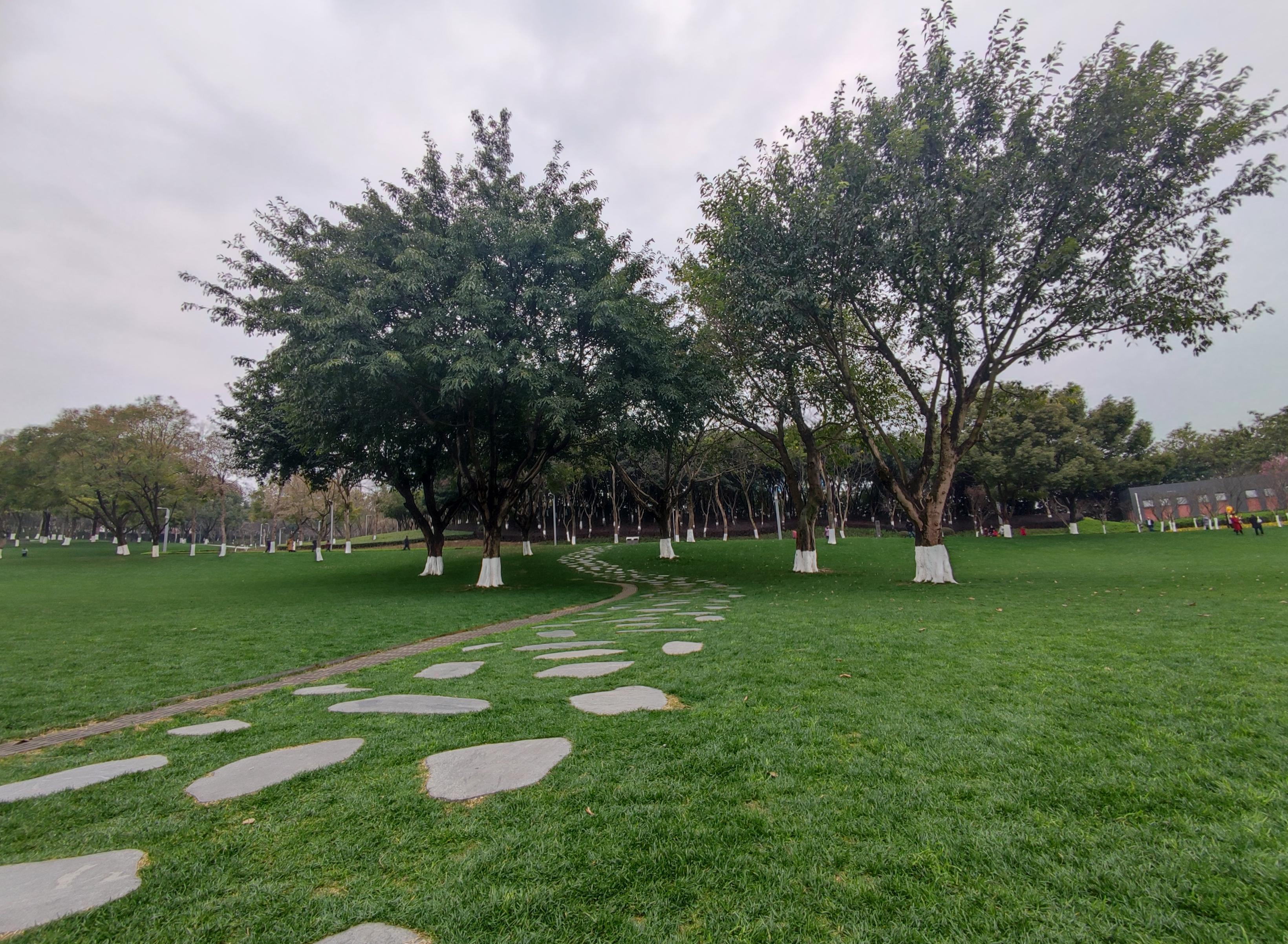 重庆渝北开放式公园,芳草依依游人如织,凭借实力羡煞北方人