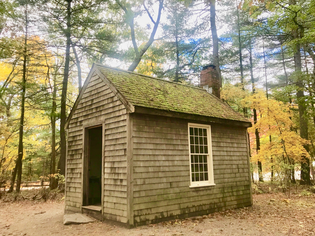 懂得享受孤独的人,才能读懂这本书|梭罗《瓦尔登湖》