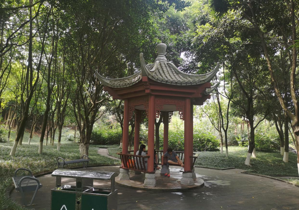 重庆渝北土豪公园,城市中心栽种大量树木,就是少点文化底蕴