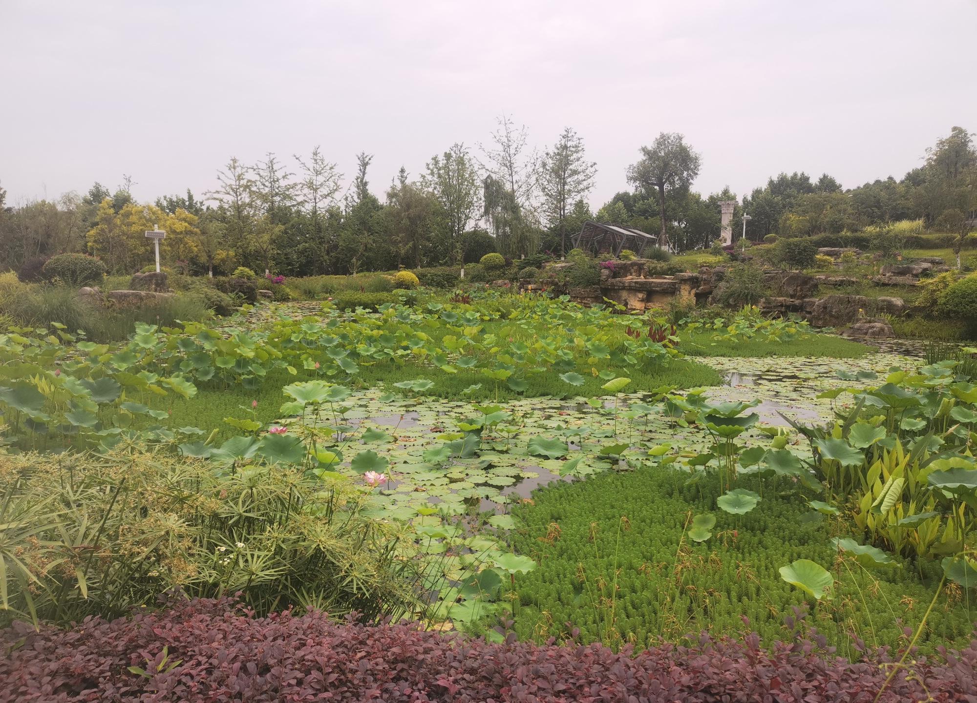 重庆渝北江边小公园,依山而建来头不小,少女雕塑看不懂