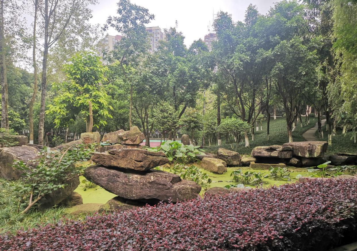 重庆渝北土豪公园,城市中心栽种大量树木,就是少点文化底蕴