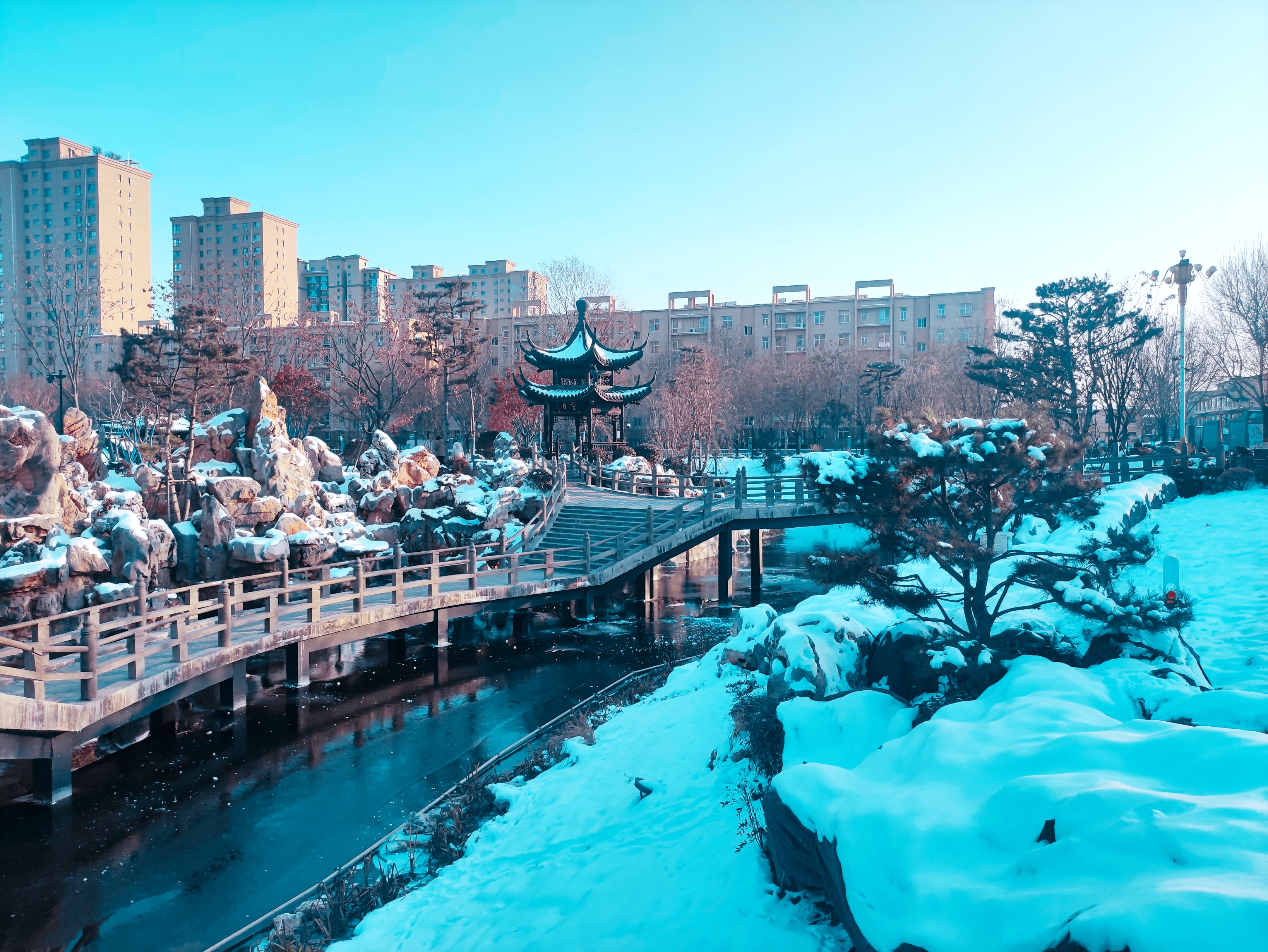 石家庄市栾城区柴武台公园雪后美景