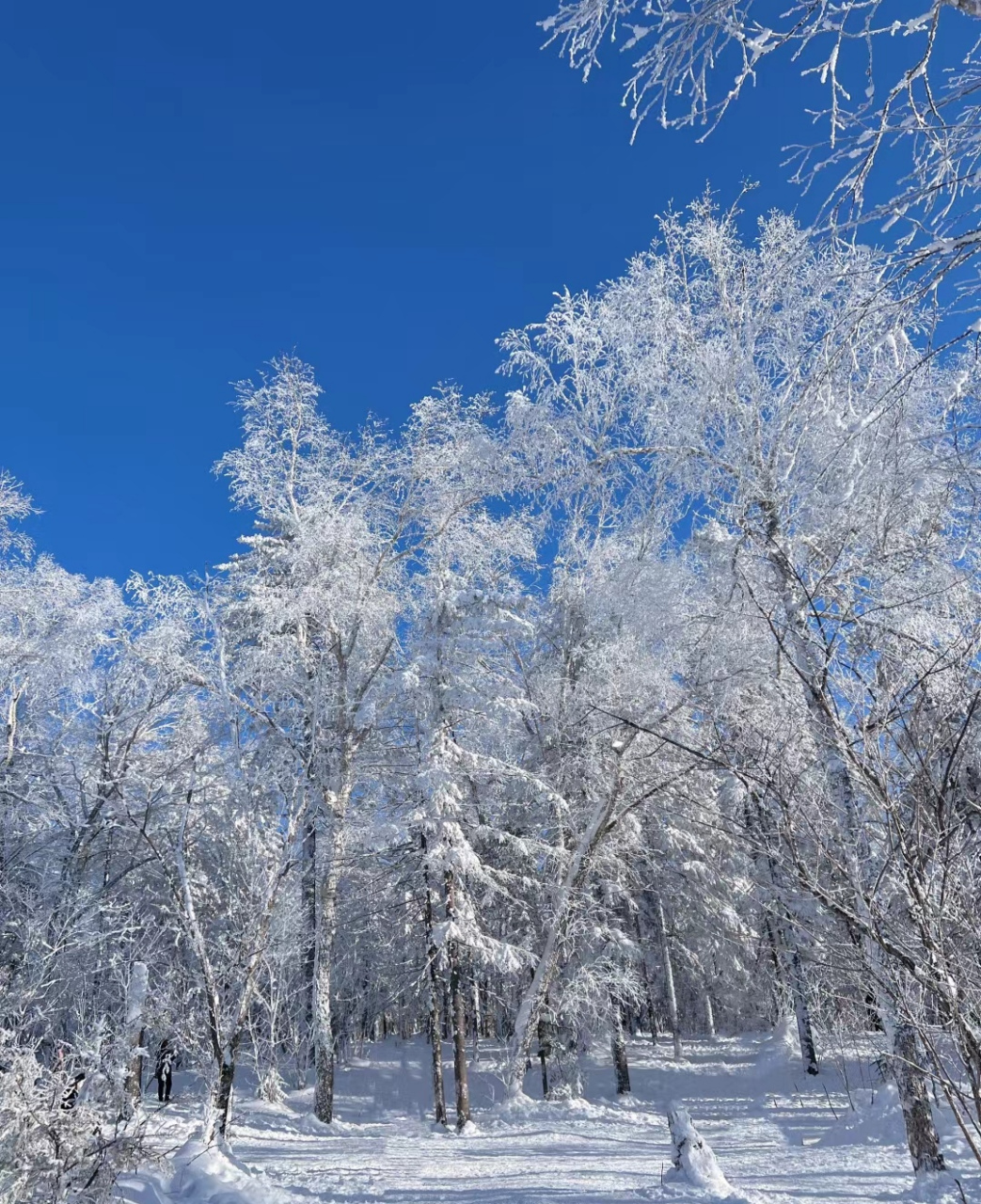 冰雪画廊图片图片