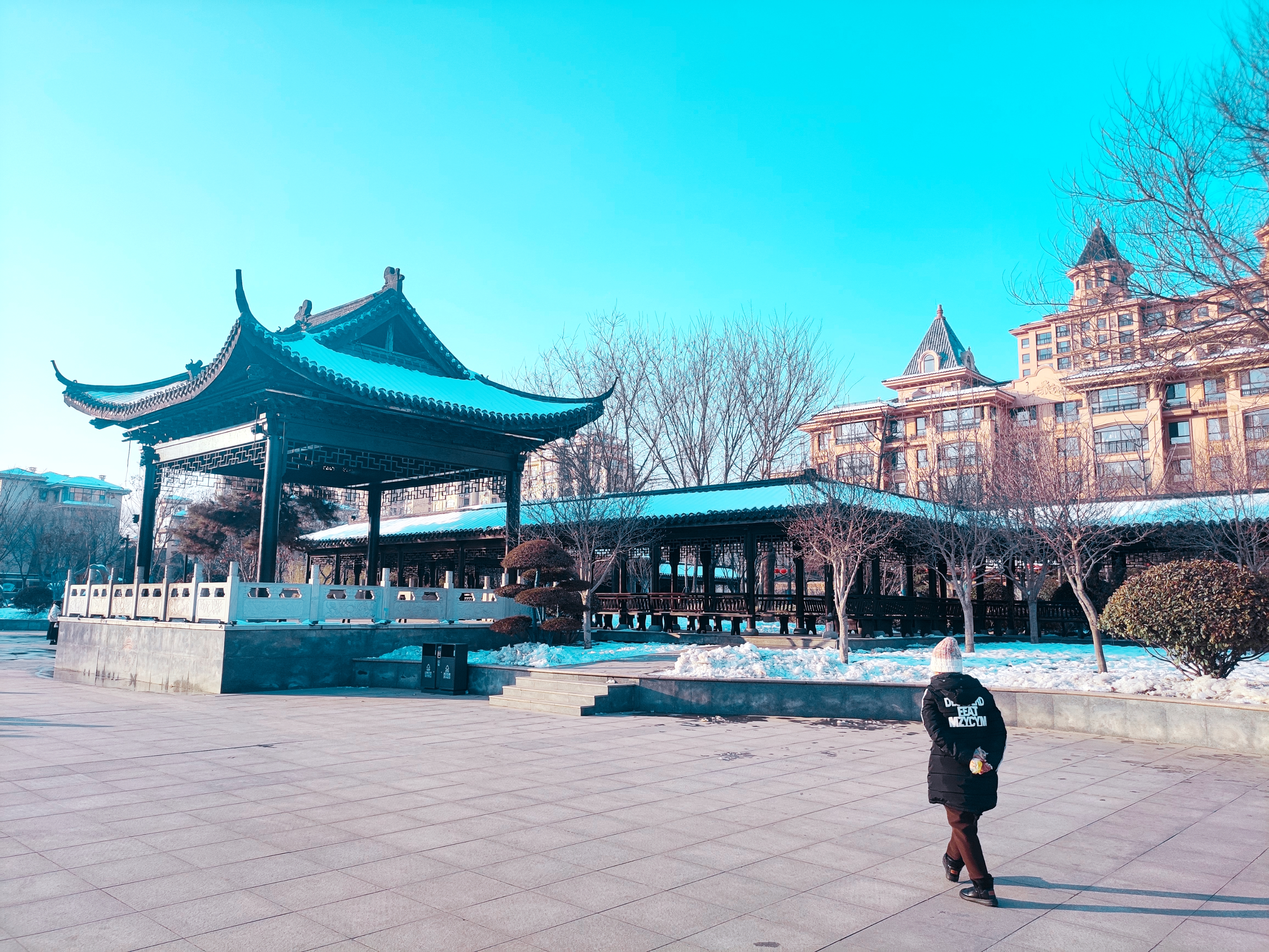 石家庄市栾城区柴武台公园雪后美景