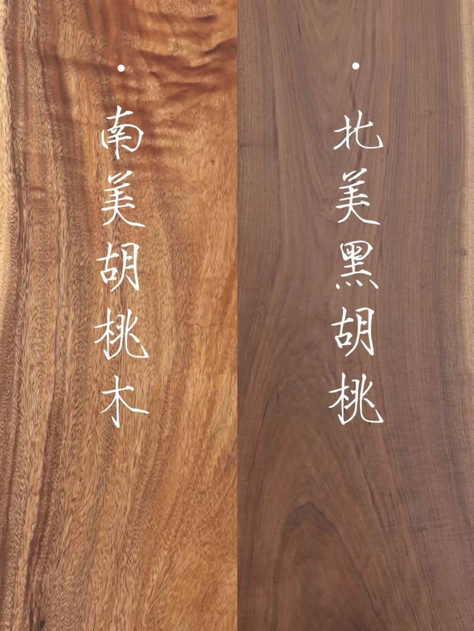 南美胡桃木与北美"小伙伴"哪个更适合你?