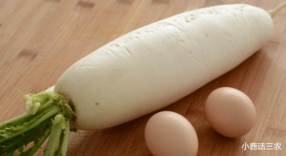 今天才知道,原来青萝卜和白萝卜区别居然这么大,千万别买错了!