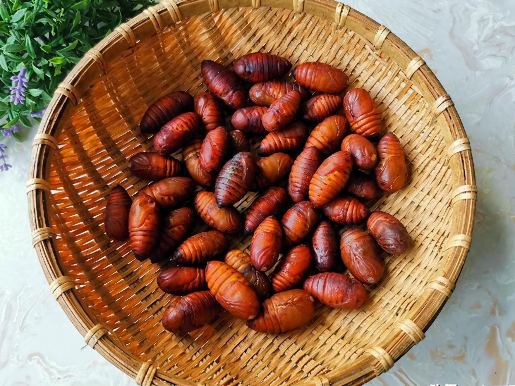 蚕蛹怎样做好吃?教你最佳的3道做法,补充蛋白质,一个抵3个鸡