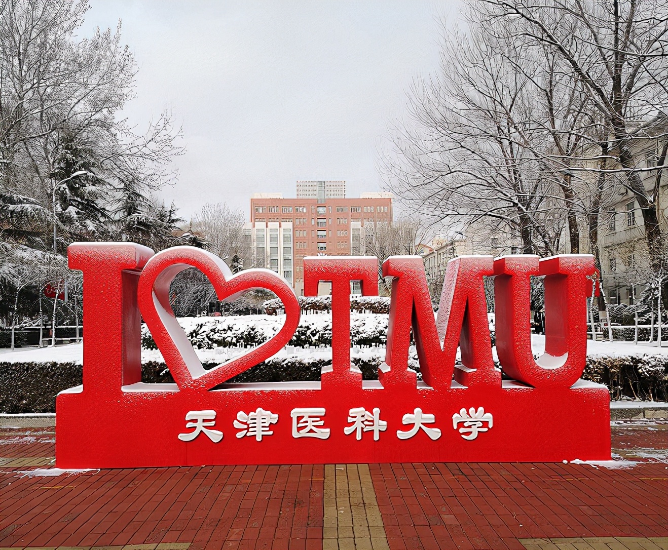 医药类大学2024年最新排名:83所高校上榜,天津医科大学排第4名