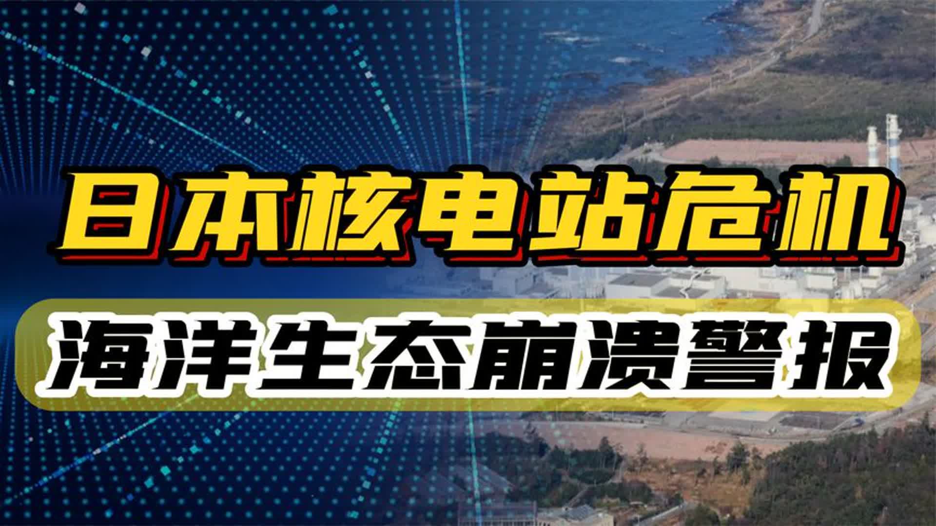 日本核电站发生泄漏,有23万升油出现泄漏