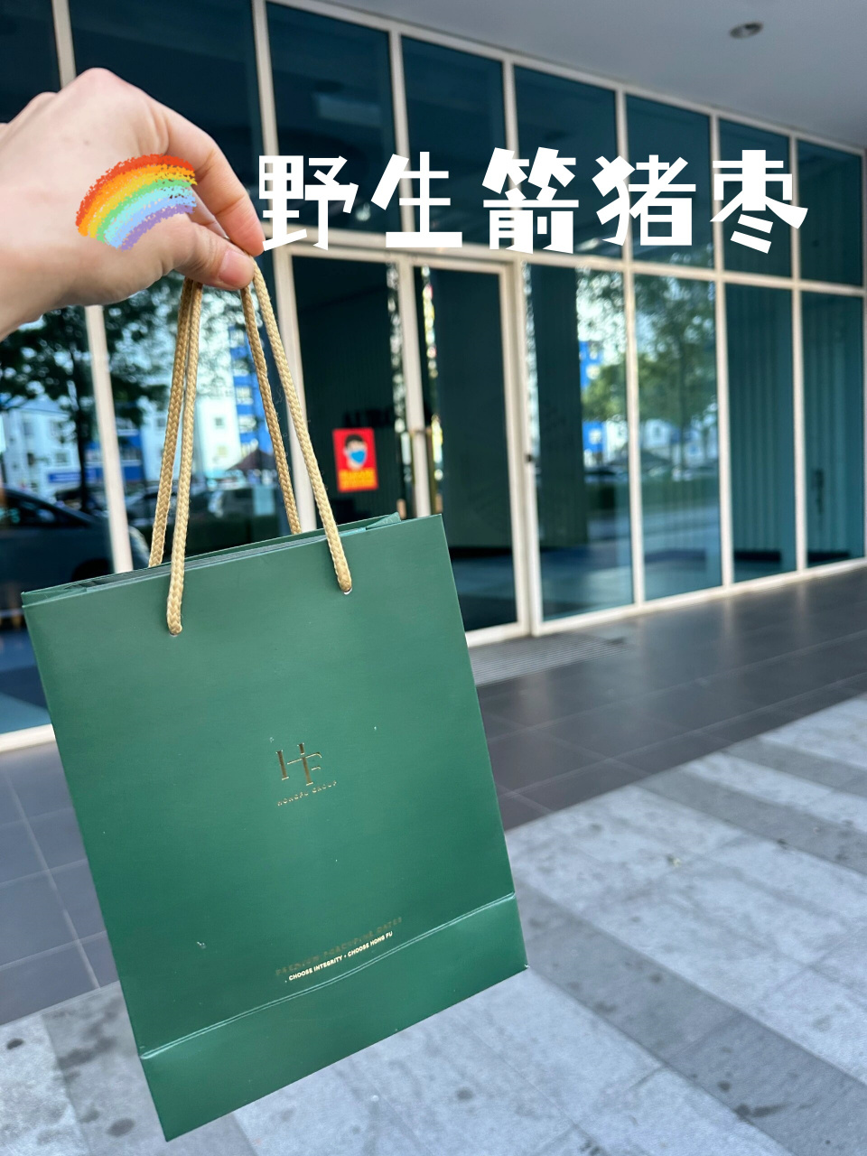 野生箭猪枣  豪猪枣和河猪枣都是非常有营养的天然食品,它们富含