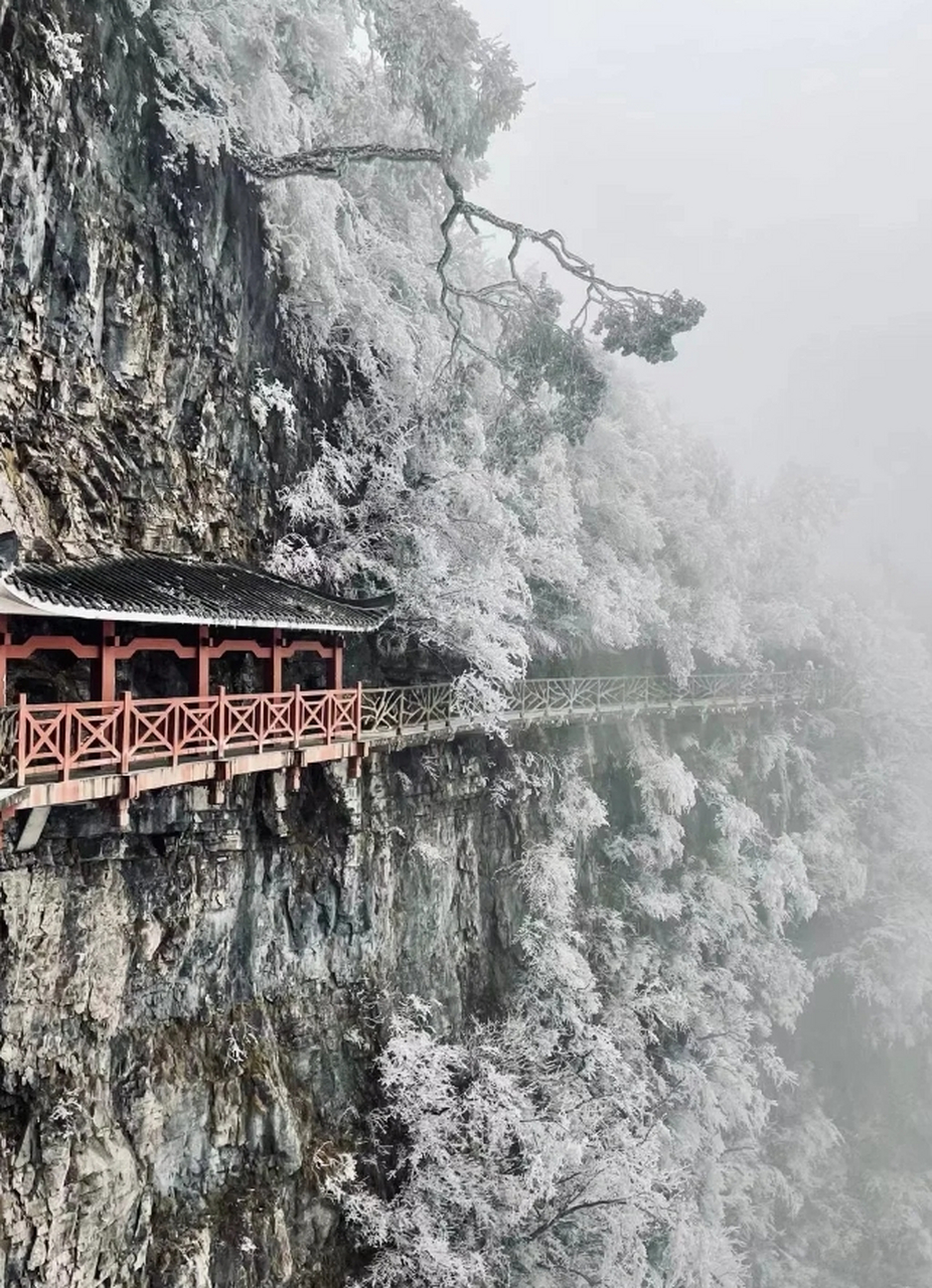 张家界天门山雾凇图片