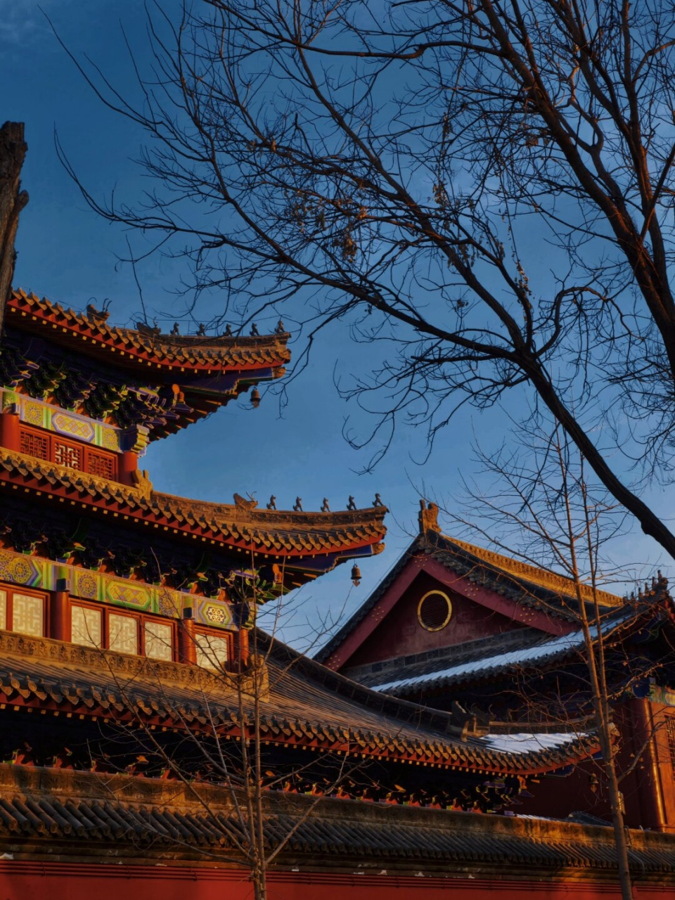 邢台开元寺  邢台开元寺的美丽和宁静让我流连忘返.