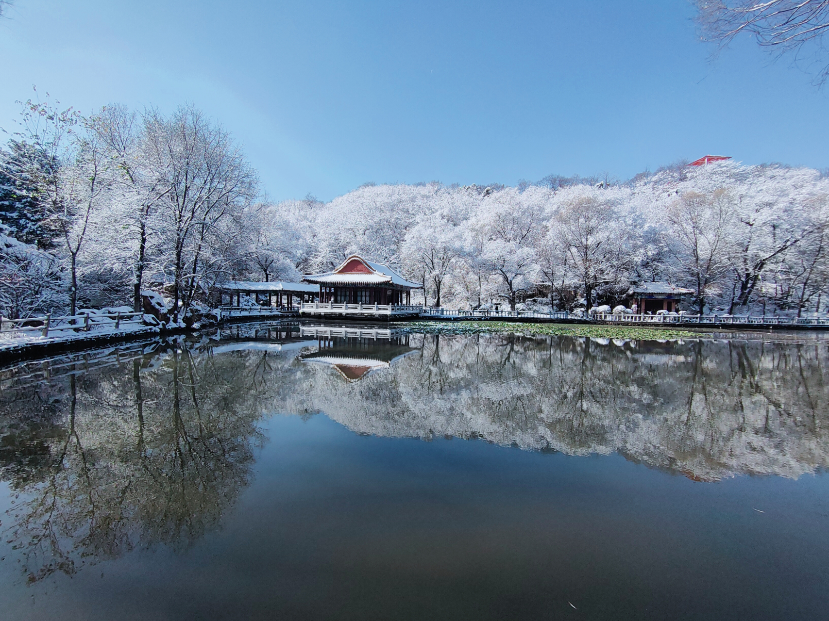 抚顺劳动公园雪景