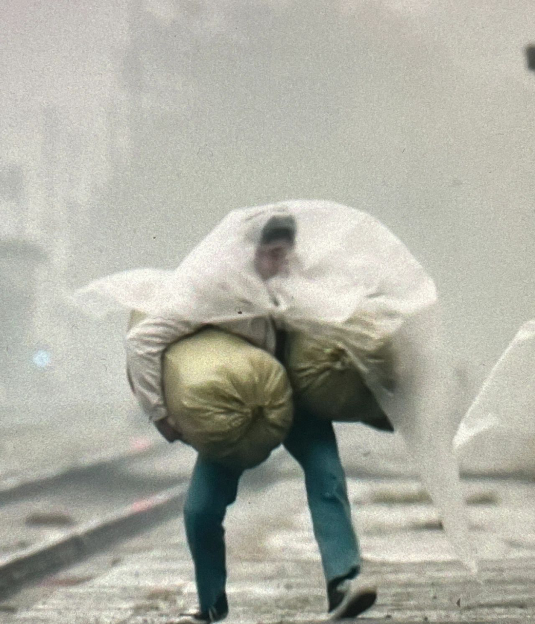 原来这个在生活的风雨中艰难前行的人是张译啊,哈哈哈哈哈哈哈,原来他