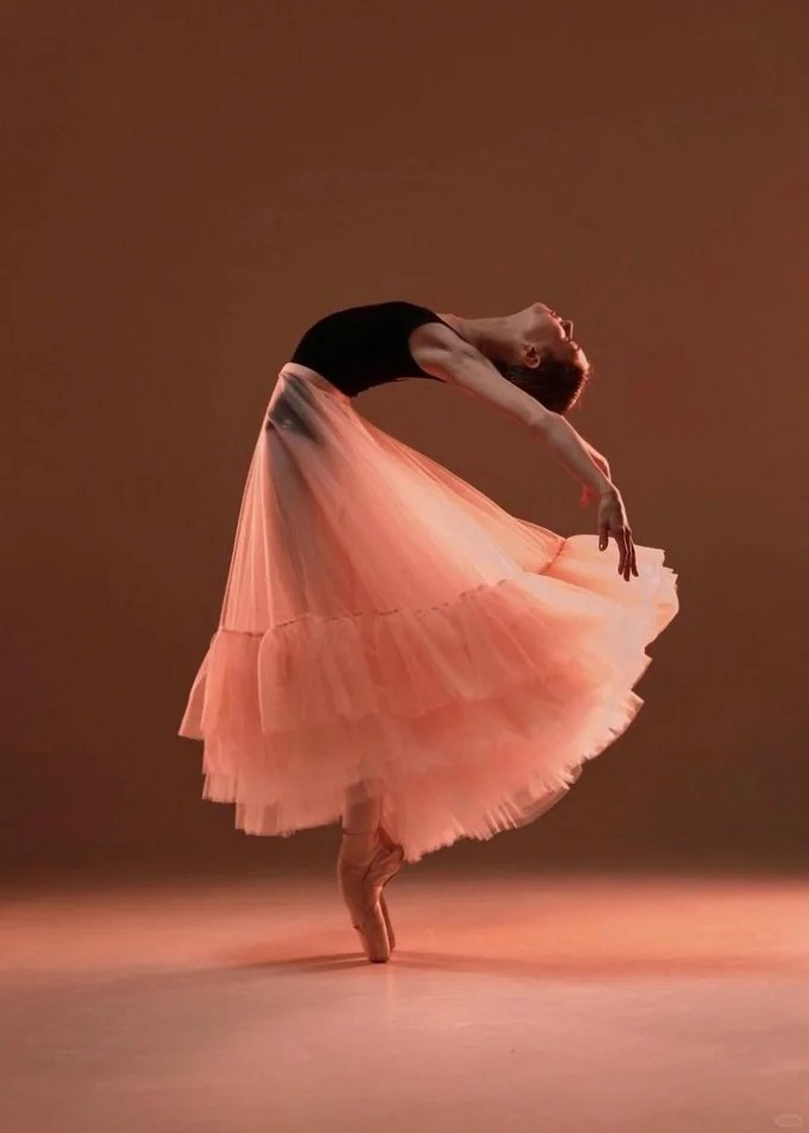 美图分享|摄影师镜头下的芭蕾舞者  舞动的瞬间,定格在镜头中!