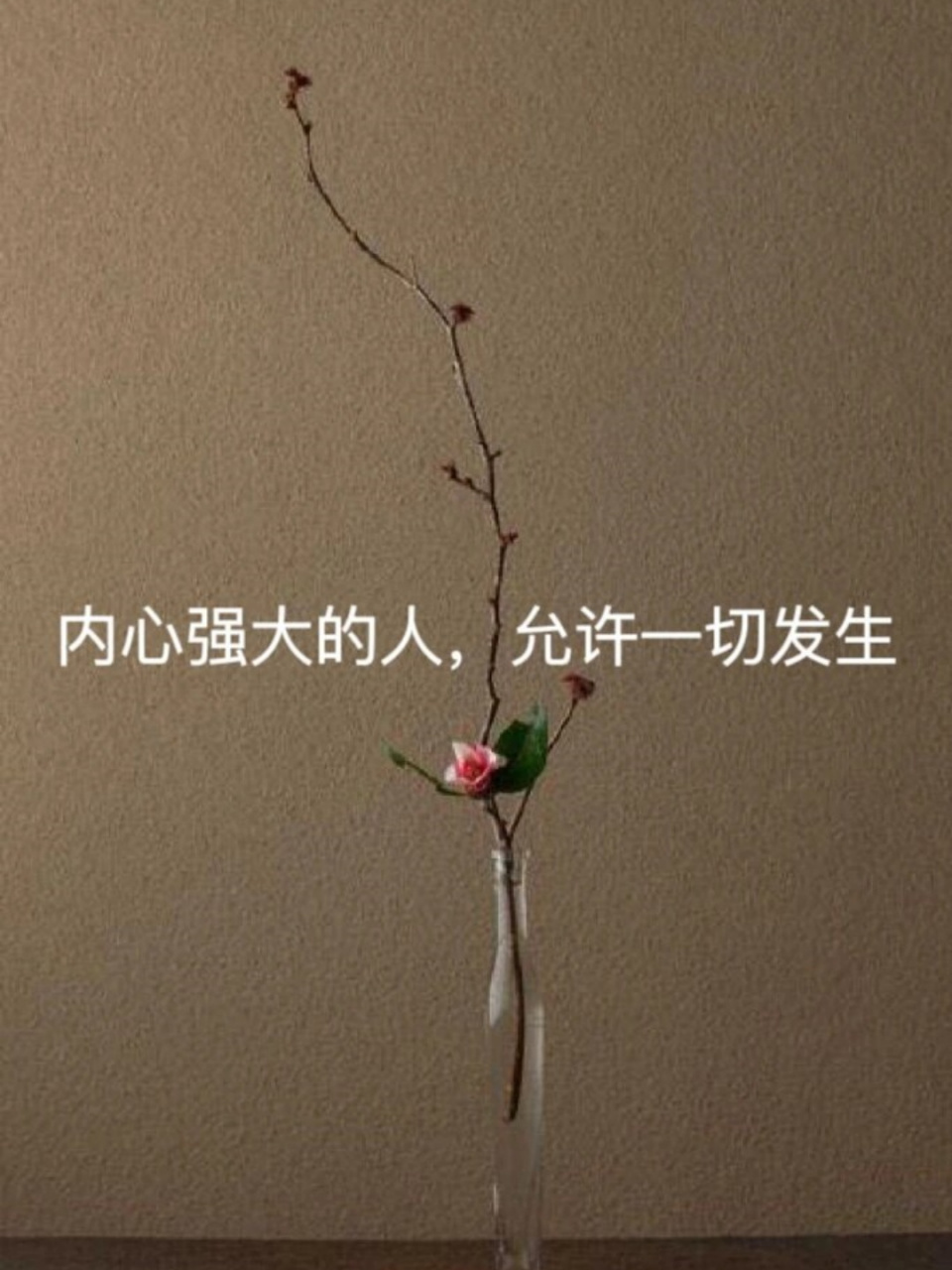 内心强大的人允许一切发生  我会以淡然的心态,去面对生活中的一切.