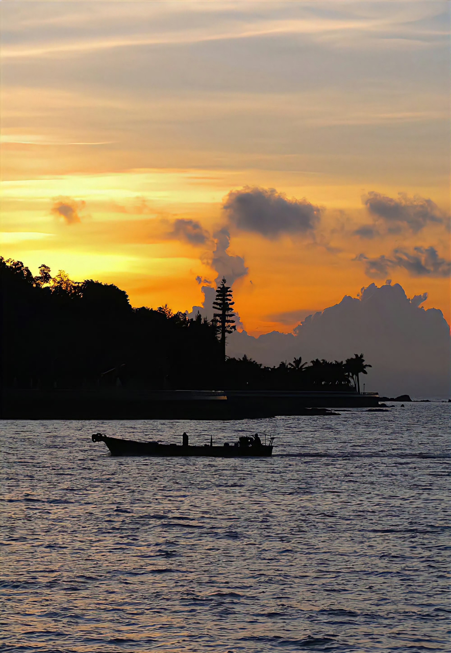 日出尤其温柔,人间皆是浪漫. 92 #这是一场赌上前程没有退路的战争