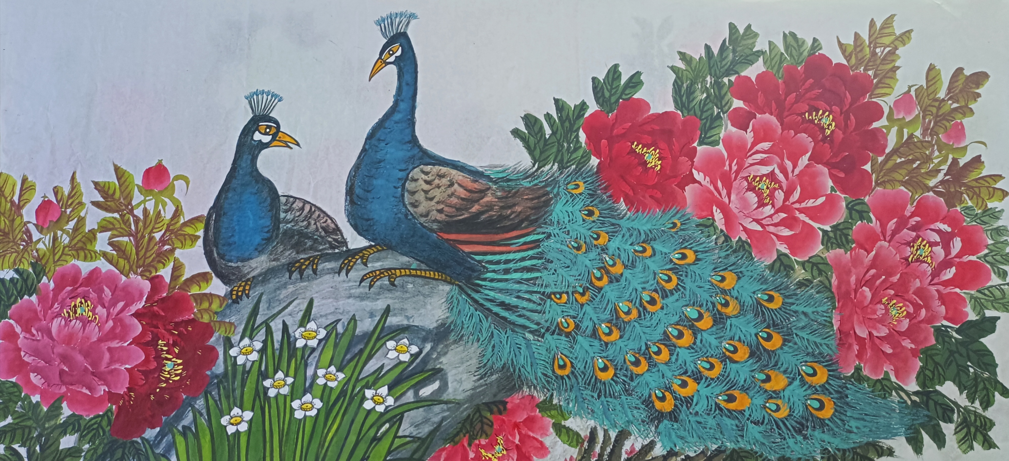 国画孔雀牡丹