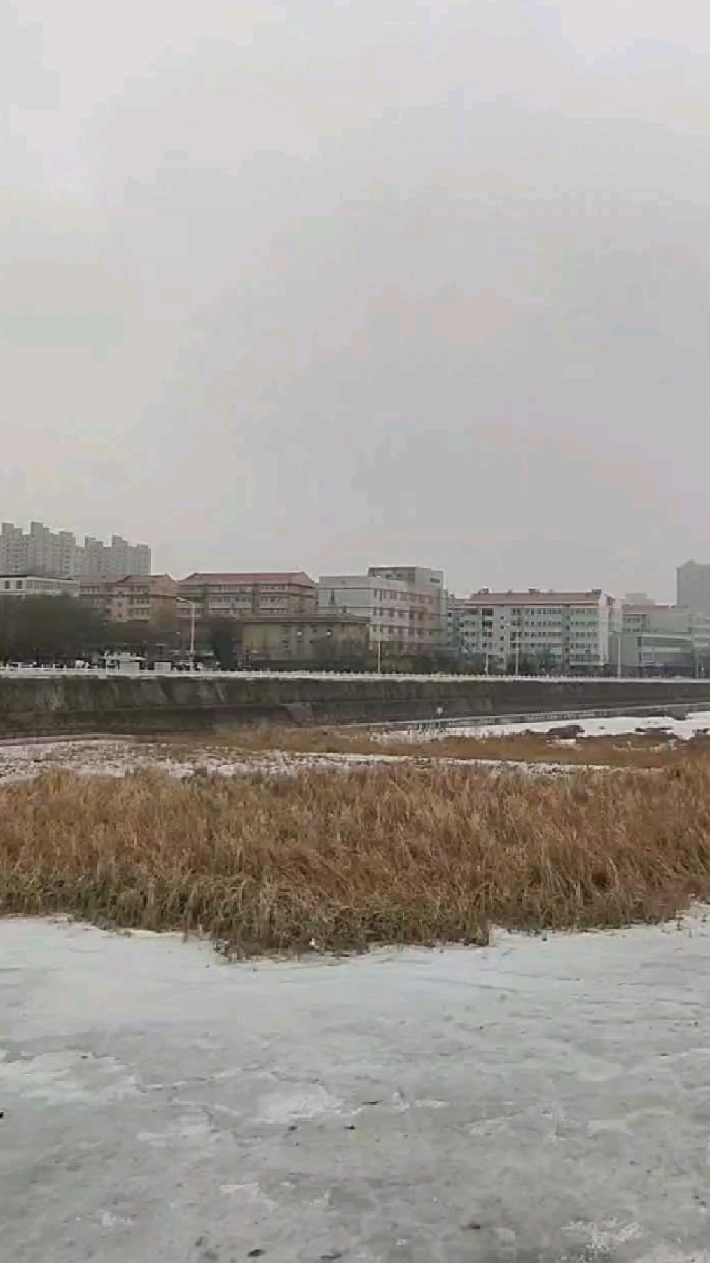 1月19日,张家口正在下细毛毛雪,明日大寒,气温下降不少,注意增加衣物!