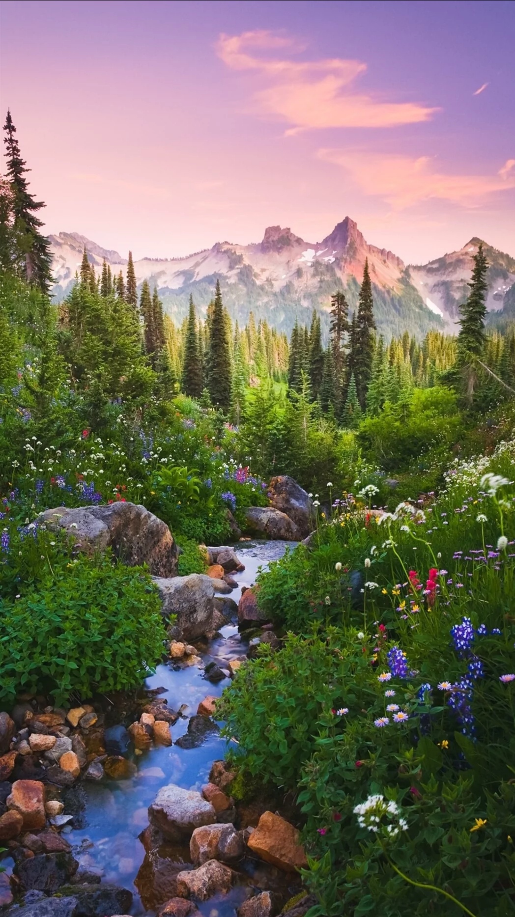 森林茂密,像绿色的海洋,让人感到无比的清新和舒适