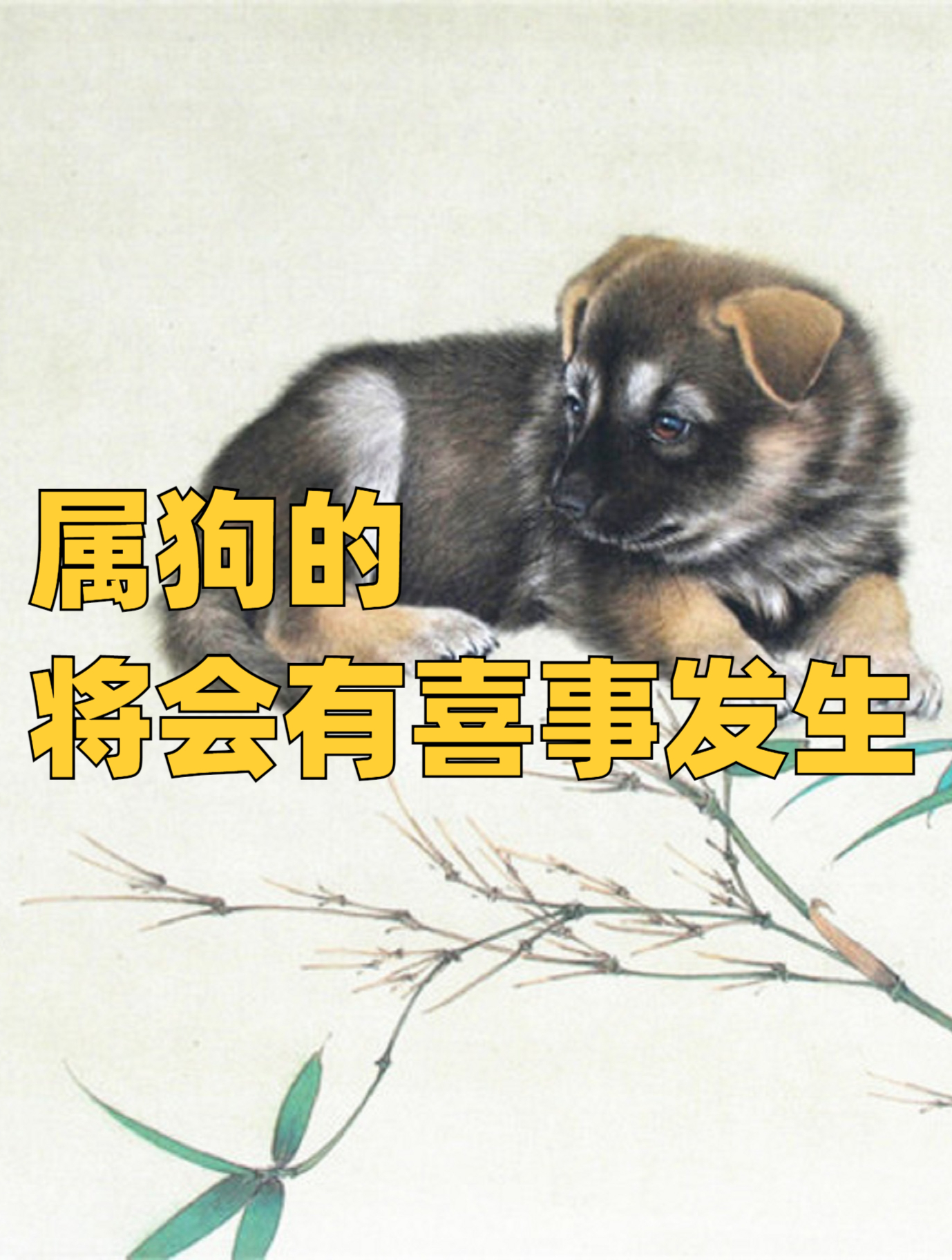 属狗的2024年将会有喜事发生