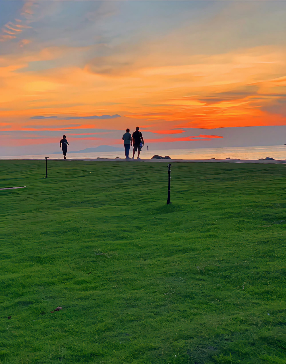 日出尤其温柔,人间皆是浪漫. 92 #这是一场赌上前程没有退路的战争