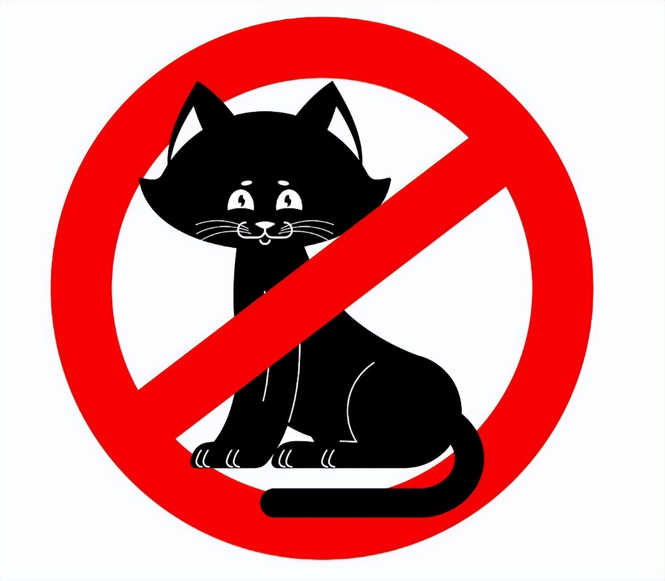 "禁养猫名单"公布,多种猫上榜,谁养谁倒霉!