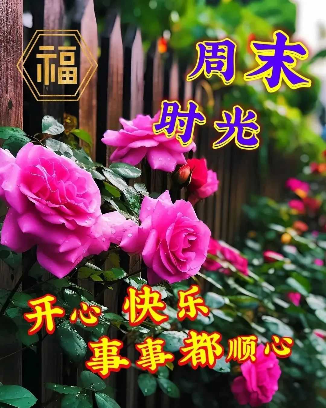 1月29日腊月初九美图