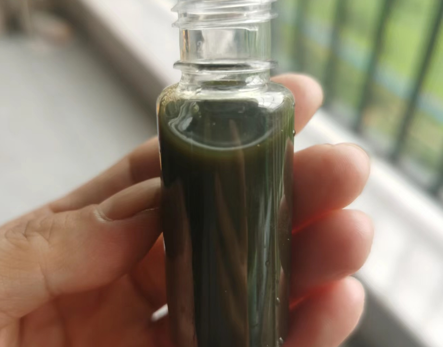 石胡荽,又称天胡荽,鹅不食草,有3大作用,农民朋友要了解!