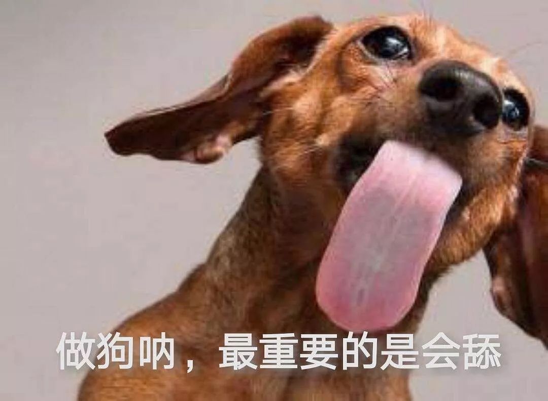 舔英文 baijiahao.baidu.com