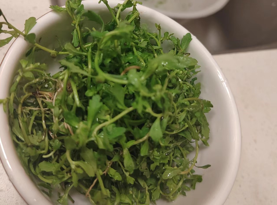 石胡荽,又称天胡荽,鹅不食草,有3大作用,农民朋友要了解!