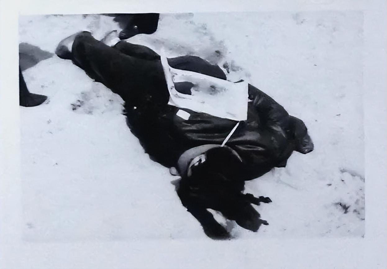 呼格吉勒图:因报案被判死刑,临刑前喊冤不被重视,18年后平反