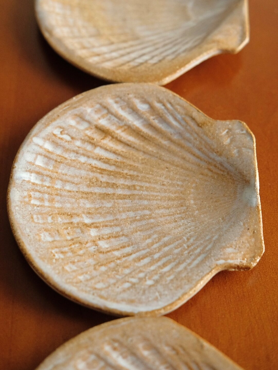 带着沙粒的贝壳  每一只小贝壳的形状和流釉都不尽相同,这使得它们