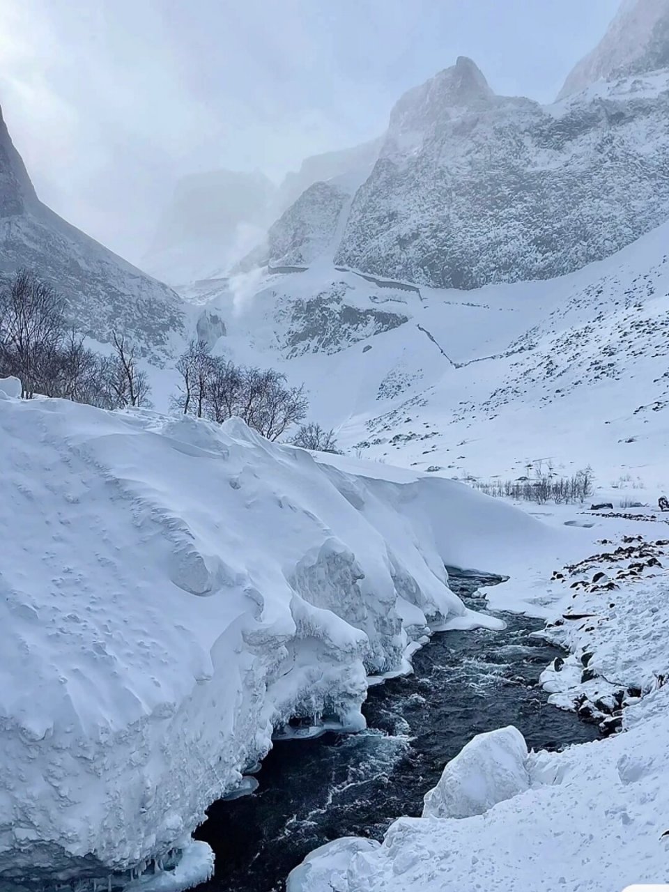 长白山雪景 摄影图片