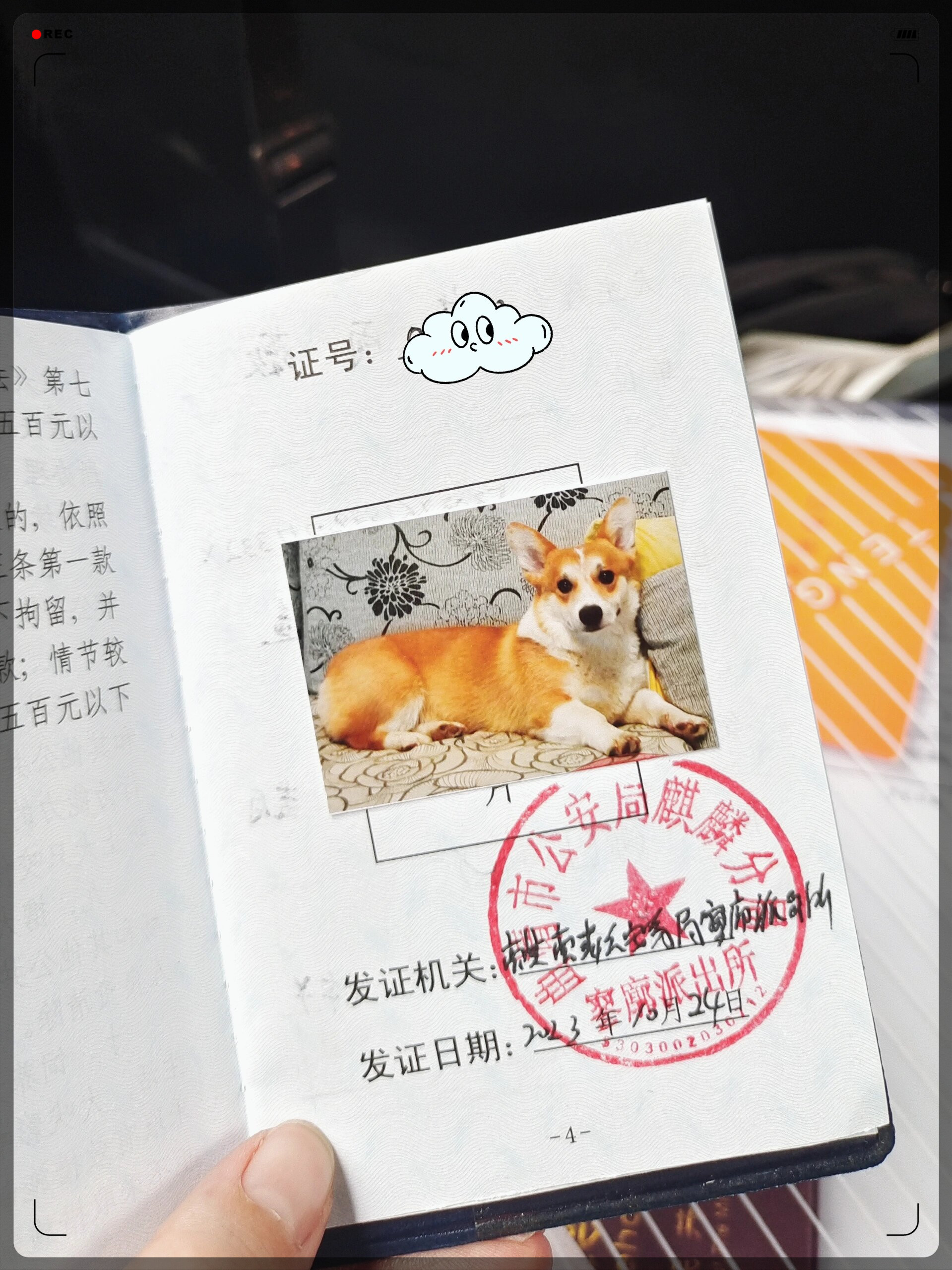 犬登记证明样本图片狗证照片模板假狗狗证书办狗证图片搞笑狗证什么