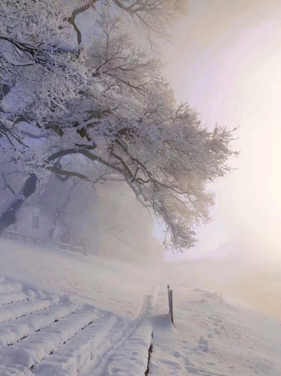 哈尔滨江边雪景图片