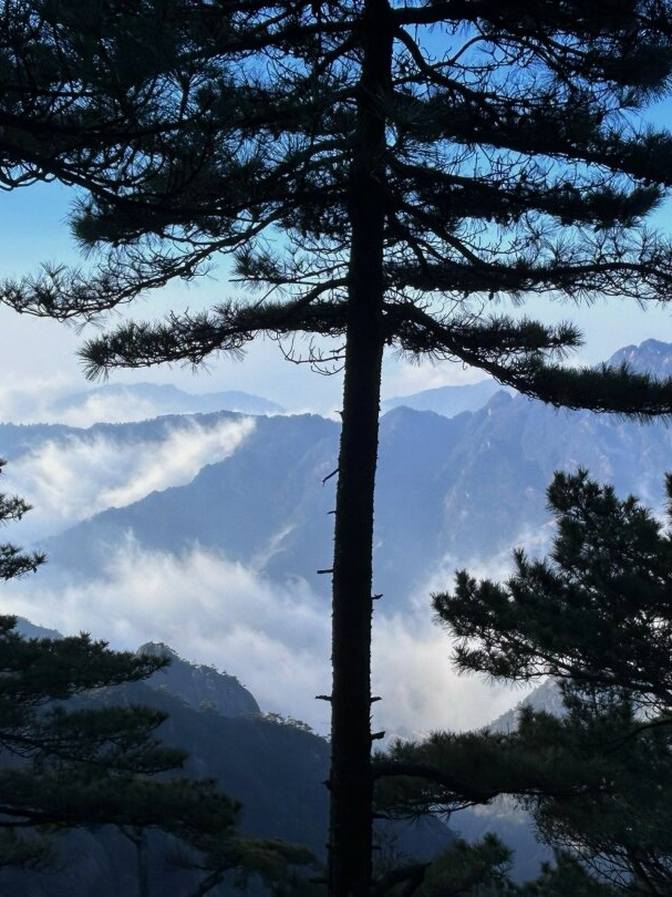 黄山 见山见风见自己  青春就是要有冒险精神,这次黄山之行让我深刻