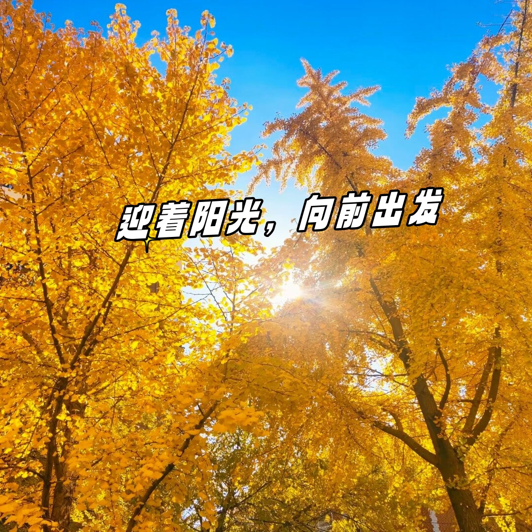 迎着阳光,向前出发