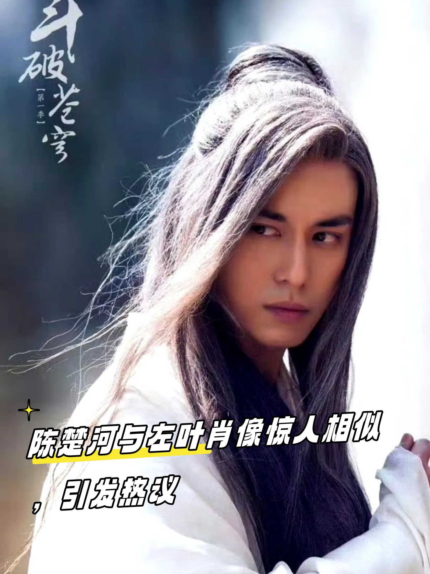 陈楚河与左叶肖像惊人相似引发热议