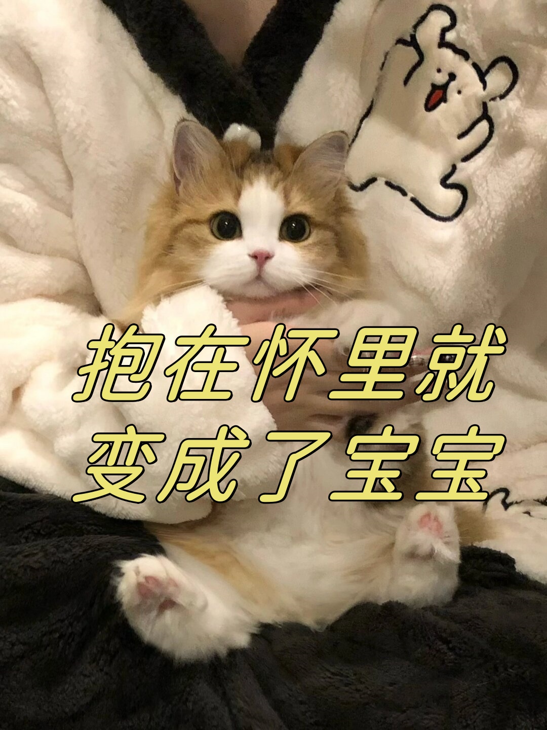 我这里可是很温暖的,而且还有我抱着你,你肯定不会感到寒冷了.