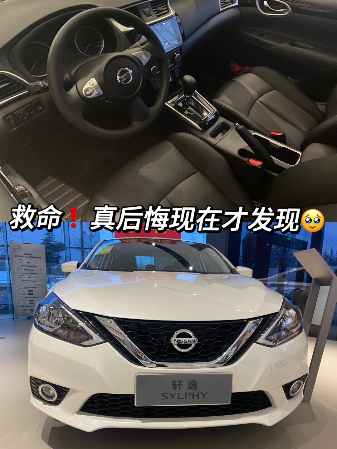 真后悔现在才发现