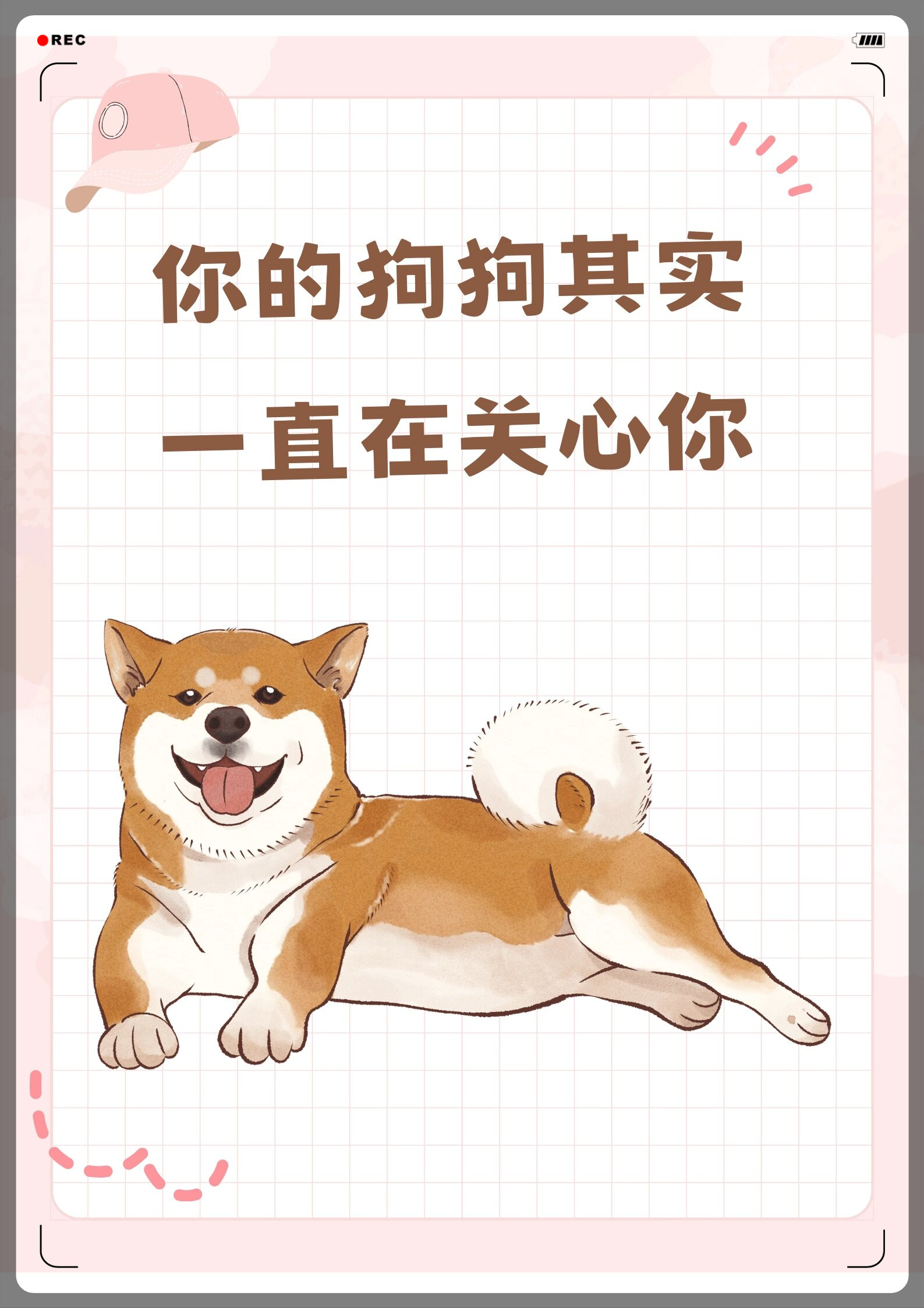 它们的眼神里充满了对你的爱和关注