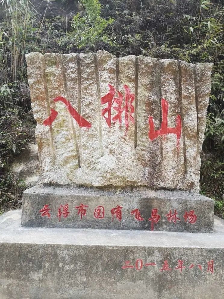 罗定船步镇八排山春游首选,免费游玩还能徒步!