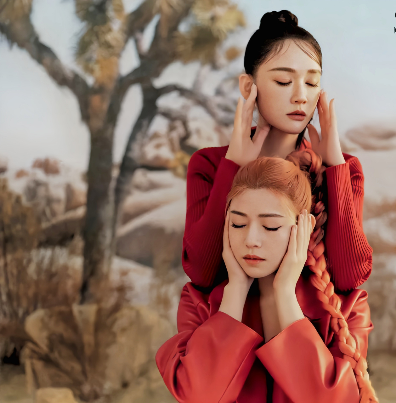 今日份的惊喜来自两位女神级人物——陈乔恩和陈妍希的合照.