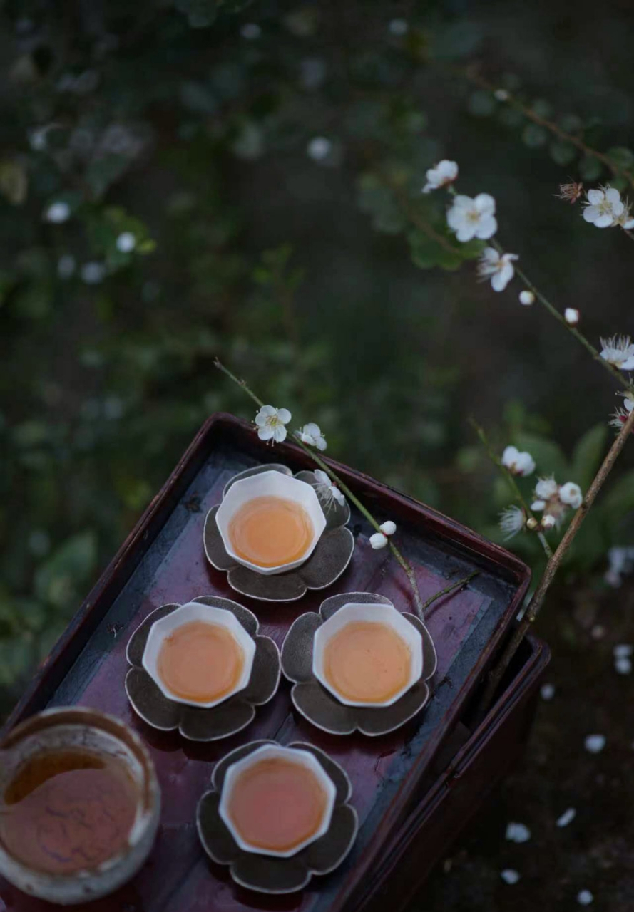入慧苑深处一行人见梅花取泉水烹煮赏花听风喝茶,梅花树下品慧苑老丛