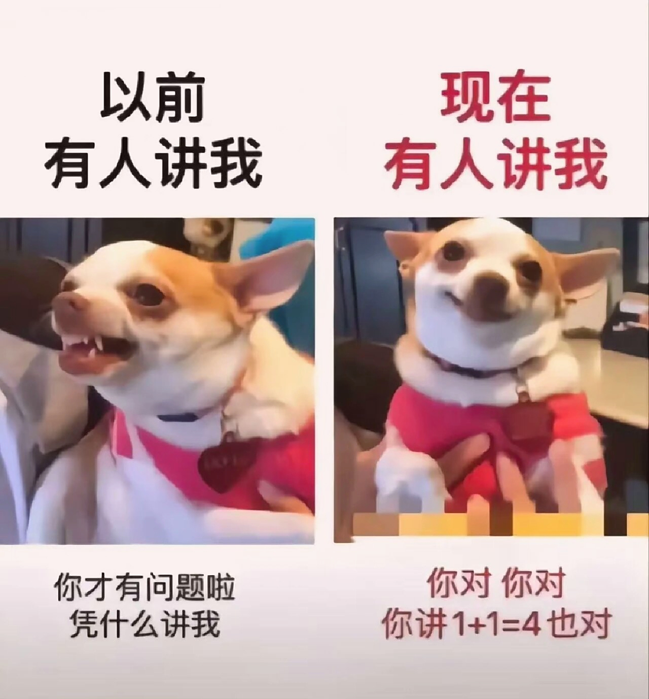不爽呀?#内容过于真实# #当代年轻人的精神状态