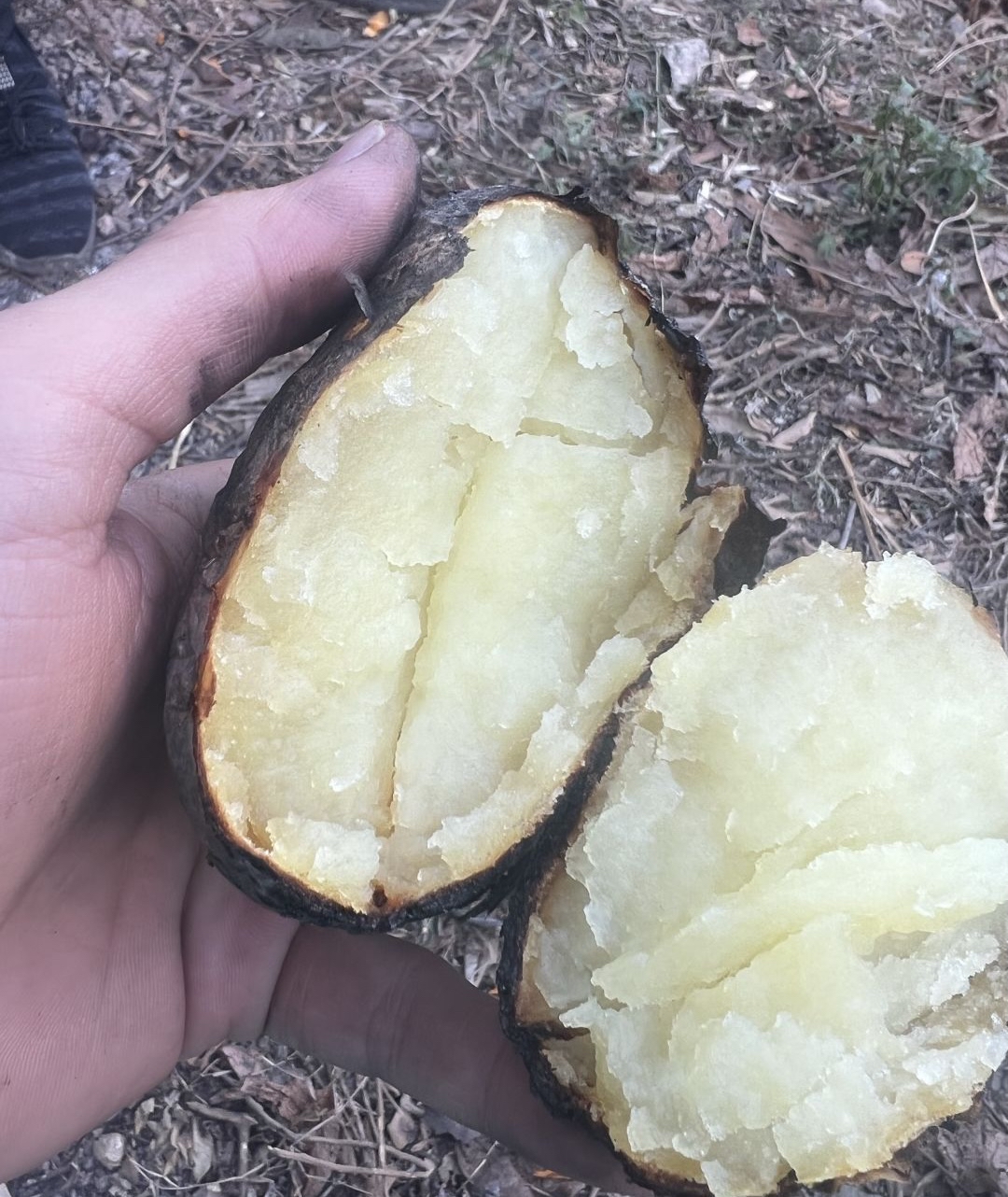 烤地瓜咯,香喷喷的土豆,油滋滋的香肠,还有那长得像鳄鱼的青瓜!