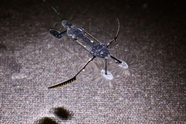 微型奇迹!昆虫仿生机器人,轻如鸿毛却功能全面